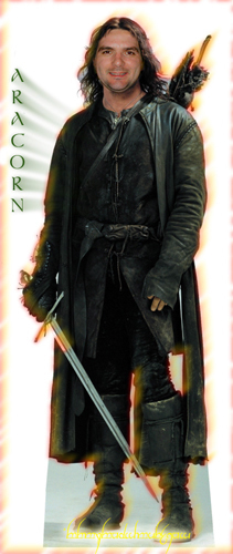 curtisfast's profile picture. 