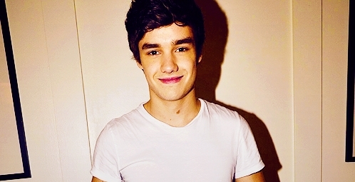 Directioner ∞  ...Seguiu?sigo de volta