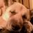 Killa_Bee81's profile image