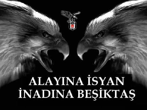 takip edeni ediyorum :)) kartal kadar  sinsi kurt kadar cesur olmak gerekli bu dünyada :))