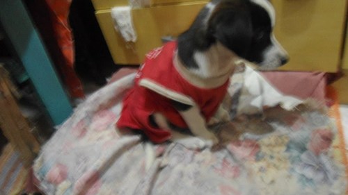 vou estar aki te esperando ???