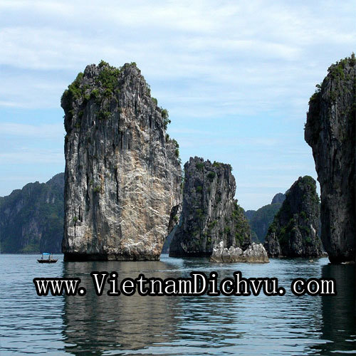 Explore Food & Entertainment Lifestyle in Vietnam