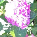 Loretta Walker - @RaeWalker64 - Twitter