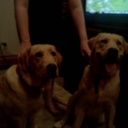 Adam Doyle - @AdamsRegion1 - Twitter