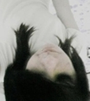 Sou infantil, boba, vou fazer você rir. Gostou? Follow-me. *o*