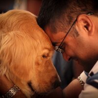 Amitava Chakrabarti (@amitava15) 's Twitter Profile