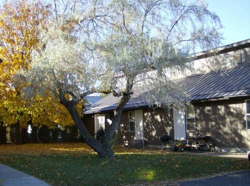 Learn2bLandlord's profile picture. Life is hard enough without bad landlords.  Strive to serve your tenants and manage your properties well.