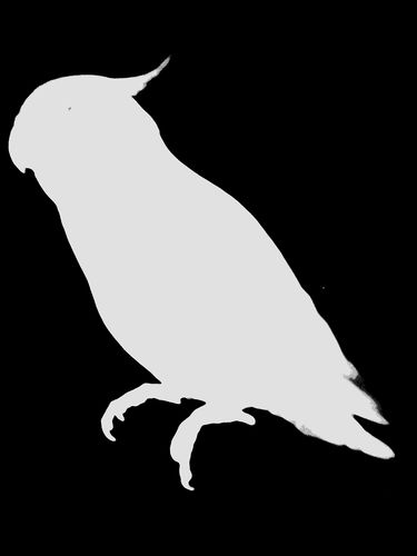 企業の新規事業をお手伝いする仕事をしてます。ツイートはすべて個人としてのものです。