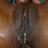 PUSSYPHAT1's profile image
