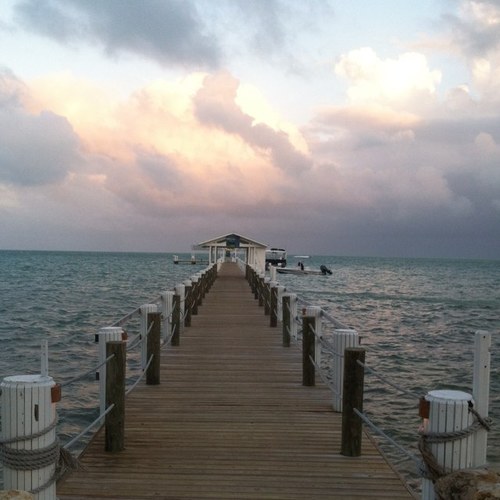 mercbravo1's profile picture. 