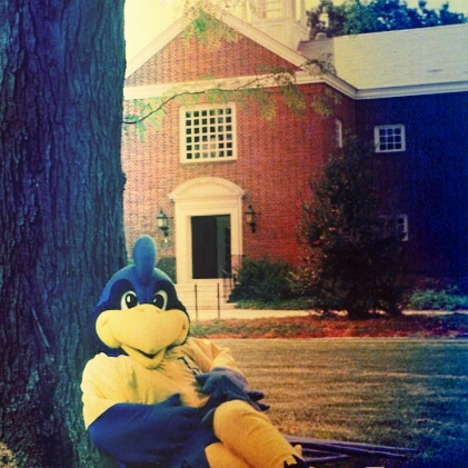 FundUDel's profile picture. Funding current and future Blue Hens is our calling! The StUDent Phone Program is a talented group of students with the best job on campus.