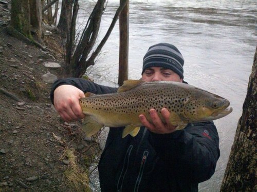Vermontguide's profile picture. Full service guided fly fishing, conventional fishing and boat charters on our Boston Whaler, in north central Vermont.