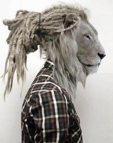 Meu guia e Deus,minha vida e Cristo,meu coraçao bate reggae,minha mente suspira liberdade.