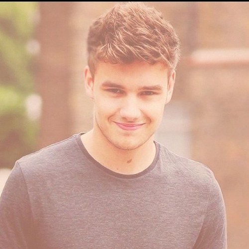 Hi I'm Emily I love One Direction, chicken, and nerf guns!