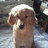 junp222's profile image