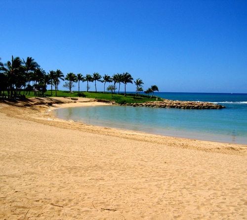 alsnaoos's profile picture. يارب ماطابت الدنيا إلا بذكرك