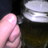 skee64's profile image