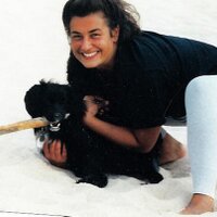 Liz N (@lizn72) 's Twitter Profile