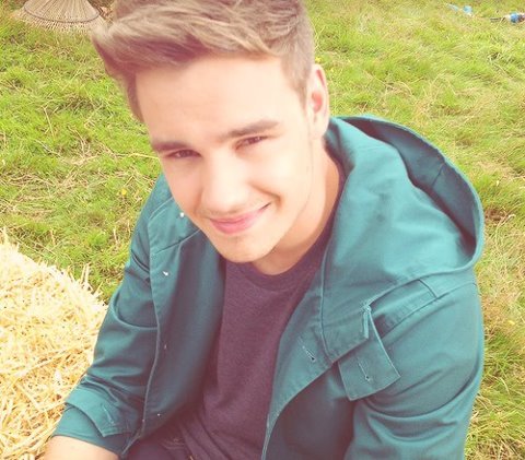 im the biggest fan of one direction you will ever come across, i love LIAM PAYNE, harry,niall,louis,and zayn!!!!!!!!!!! please follow me !!! i follow back