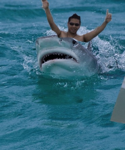 arin_ctc's profile picture. Jai Jagannath