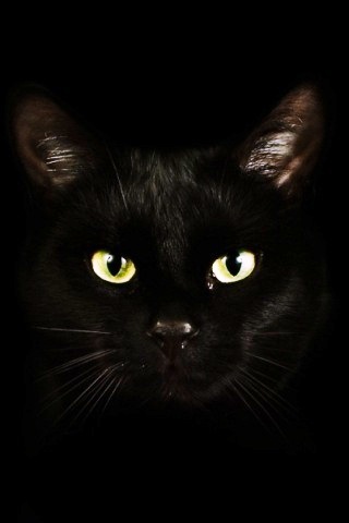 eappae1's profile picture. 