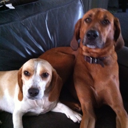 drewjl777's profile picture. I'm a pirate, savvy