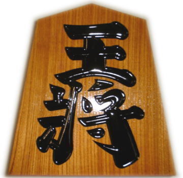 nao_shougi's profile picture. 渋谷で働くサラリーマンです。将棋が好きで、特に羽生善治さんの大ファンです♪将棋というゲームの奥深さにも興味がありますが、個性豊かな棋士の方々にも興味深々です！主に将棋関連のつぶやきをしますので関心がある方はよろしくお願いします。(^^)