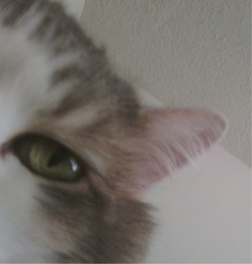 weeblehamish's profile picture. meow

http://t.co/xnPbqo5a7O
http://t.co/taUJcy4huY