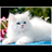 tmanoya_2011's profile image