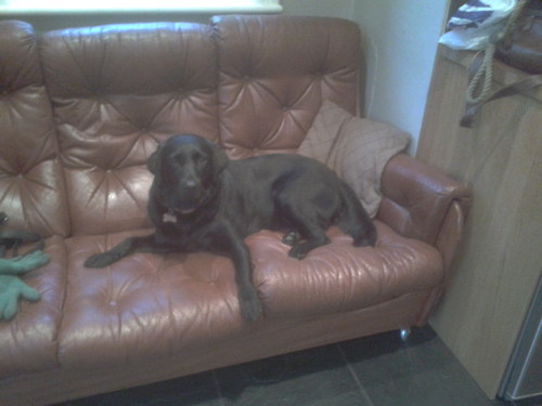 alip1000's profile picture. Love my little Lily, Karen and Brie. 
Motorbikes, Guns, Outdoors. 
Wainwright's C2C cycle finisher.