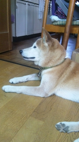 maimi_OT's profile picture. 