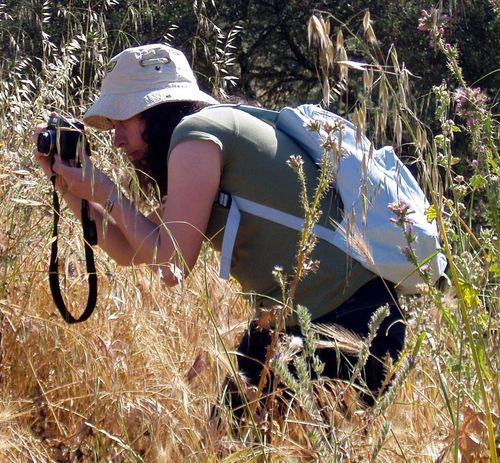 Translator, budget traveler, music and movie buff, occasional photographer and always a reader