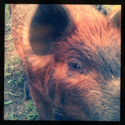 Graze_Cafe's profile picture. 