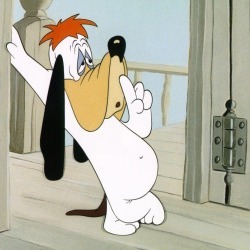 pascal_montoya's profile picture. 