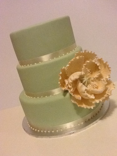 Custom cakes made for that special occasion. Weddings, parties, anything... #cake #cakeart #fondant #noms