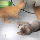 Tracy Jacobsen - @TracyJacobsen1 - Twitter