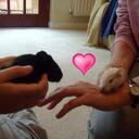 Karin Underwood - @___hi___ - Twitter