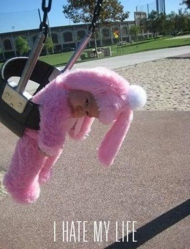 FFScottie's profile picture. 