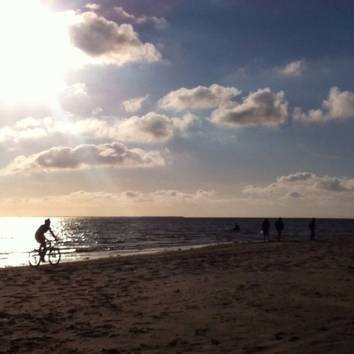 ivo911hof's profile picture. Eigenaar Expert Haren. Eigenaar Expert Zuidlaren. Eigenaar Mii-design.