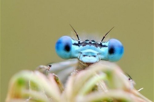 brunettepsf's profile picture. la passion de la nature, des voyages et de la vie en general