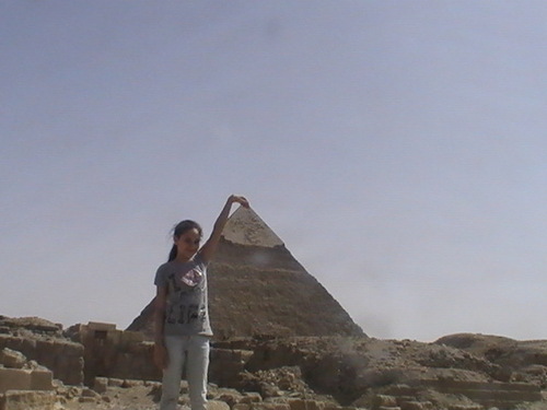 MariamMostafa16's profile picture. 