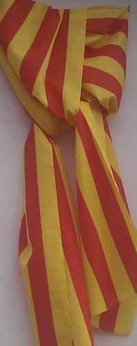 ianekin's profile picture. 