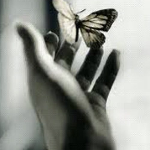 FtOoOmi's profile picture. ياارب ... قُلْ لأُمنيَاتي ،، كُونِي .. (( أنقل مايعجبني ))