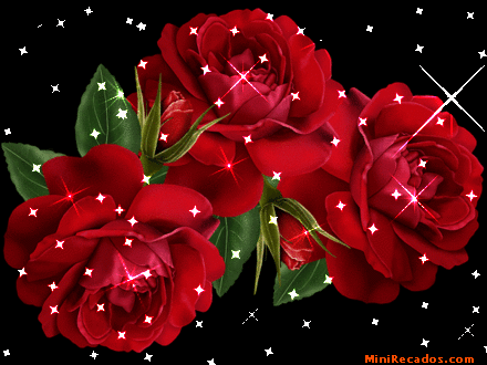 Viver a vida. e um dia de cada vez.!!! É simplesmente isso.!!!