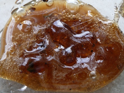 #DABBiN #DABLiFE #TFB 
FOLLOW ME AND WE'LL GO ON AN INSANE THC ADVENTURE #FresnosFinest