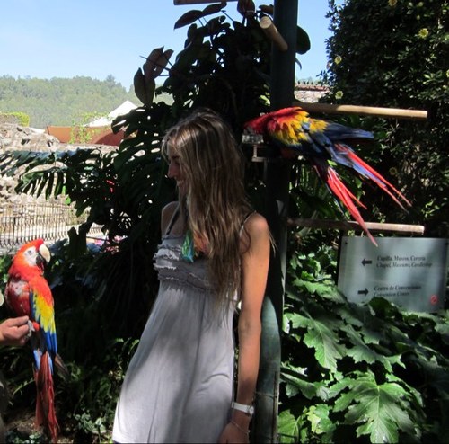 mpazcorrea's profile picture. 