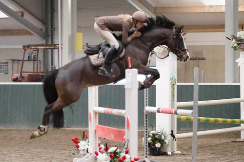 springruiter, sportman, handelaar, vader en man