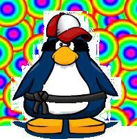 Im a boy who loves to play club penguin. If you want to follow my me user its @o_o68. So why not follow me? Its only a click away;D