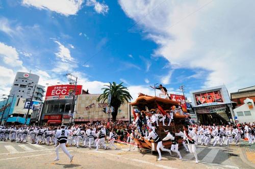 祭り見物は、だんじり掲示板もどうぞ！