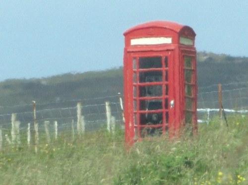 Susan Andrecyk Profile